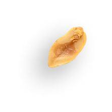 Floating Almond Version 2