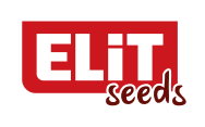 Elit Nuts Logo